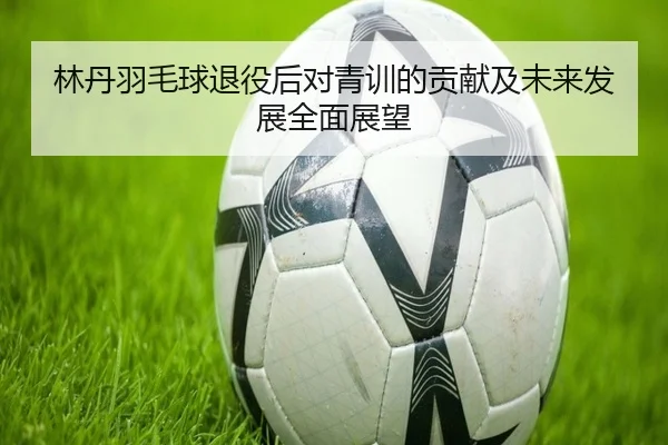 林丹羽毛球退役后对青训的贡献及未来发展全面展望